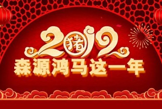 聚焦回首//森源鴻馬2019這一年