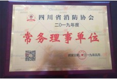 四川省消防協(xié)會  常務(wù)理事單位