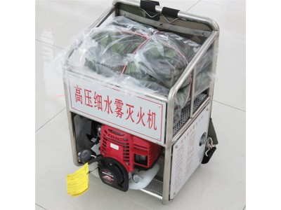 濟(jì)寧雷沃便攜式背負(fù)式多功能風(fēng)力風(fēng)水高壓細(xì)水霧滅火機(jī)廠家專(zhuān)用價(jià)格低