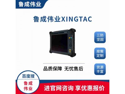 國產(chǎn)手持10寸工業(yè)加固平板電腦