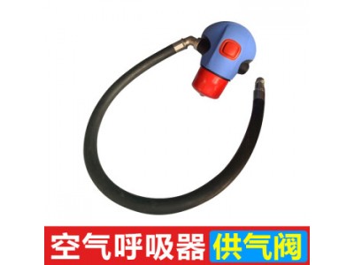 通用呼吸器標(biāo)準(zhǔn)供氣閥