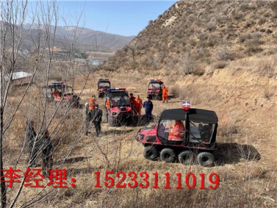 抗耐磨景區(qū)體驗(yàn)水陸兩棲車維護(hù)維修廠家批發(fā)